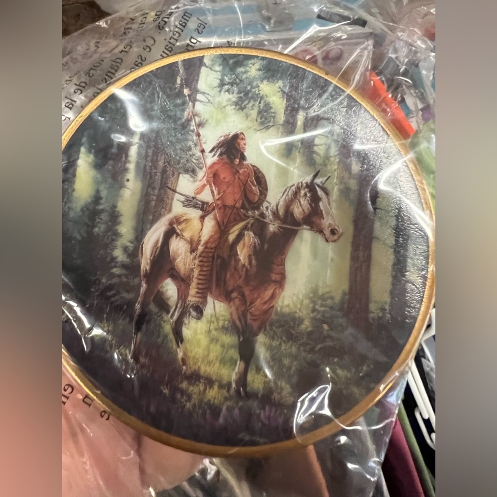Native American collectors plate 8